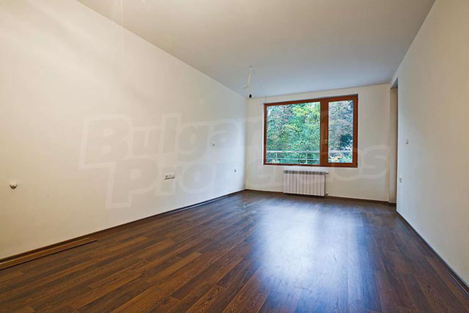 Gallery Picture 5