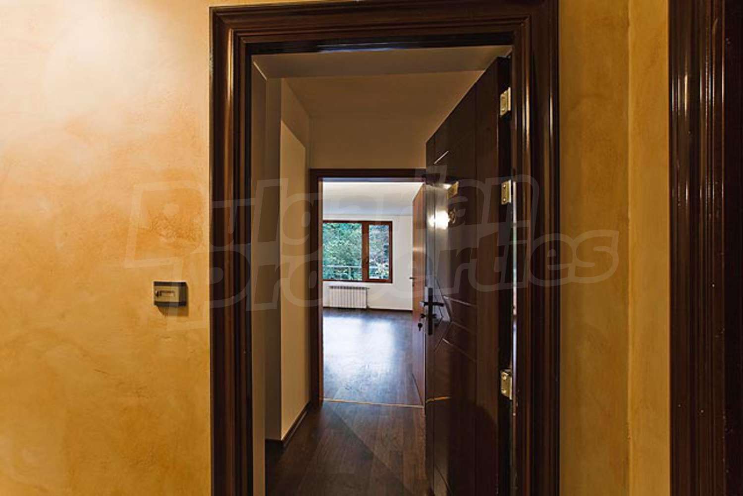 Gallery Picture 8