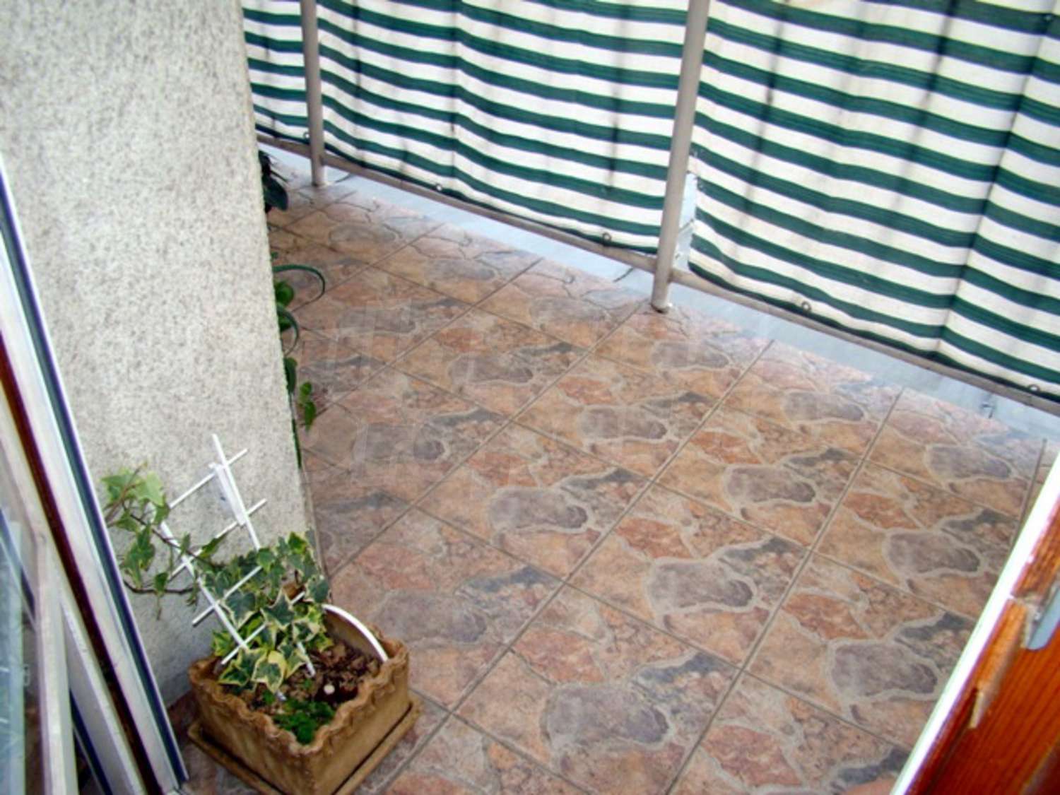 Gallery Picture 16