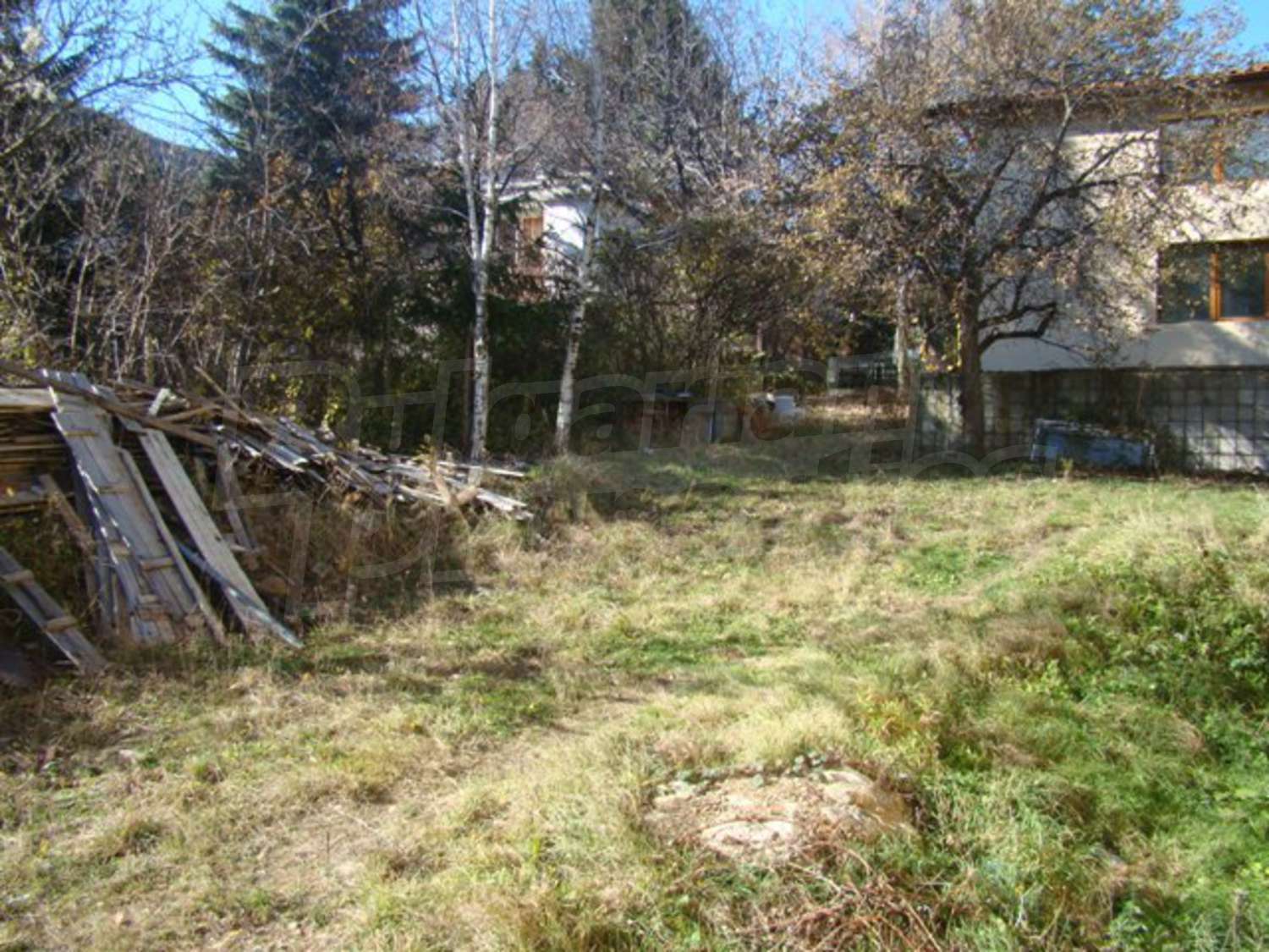 Gallery Picture 19