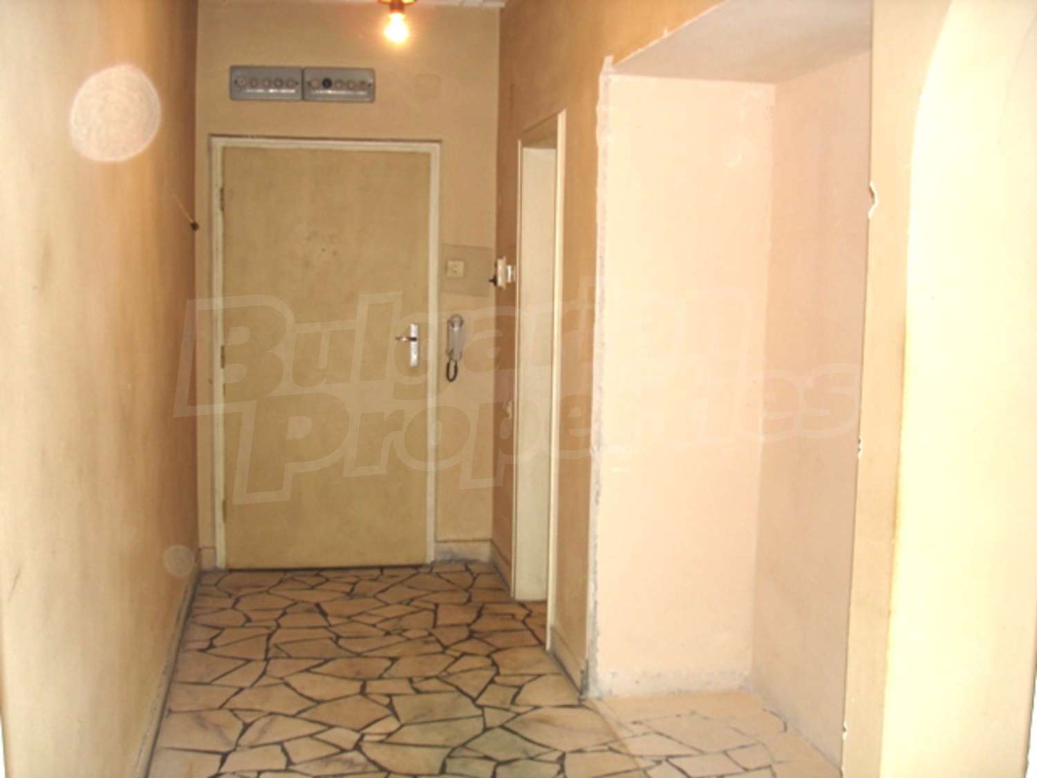 Gallery Picture 12