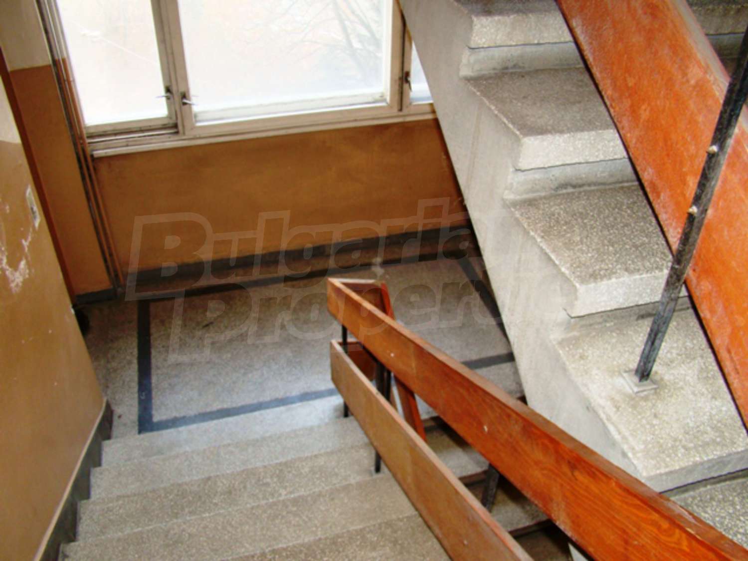Gallery Picture 14