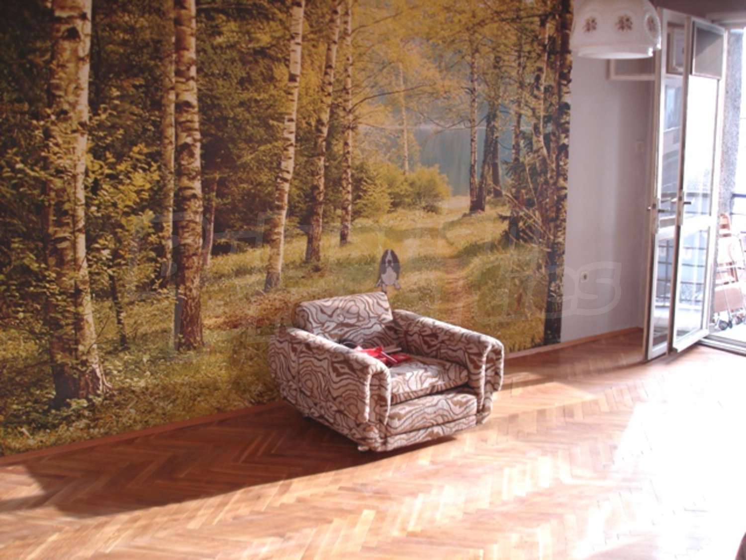 Gallery Picture 2