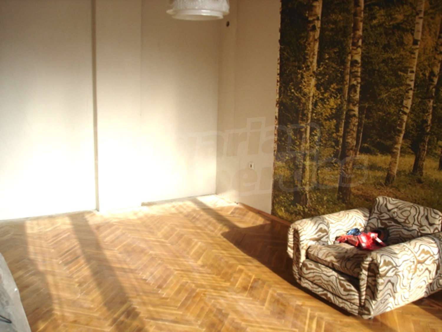 Gallery Picture 3