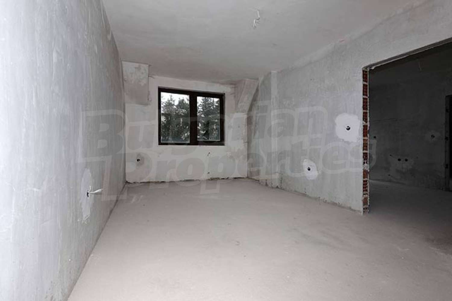 Gallery Picture 10