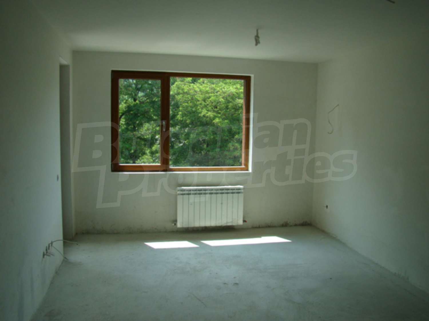 Gallery Picture 5