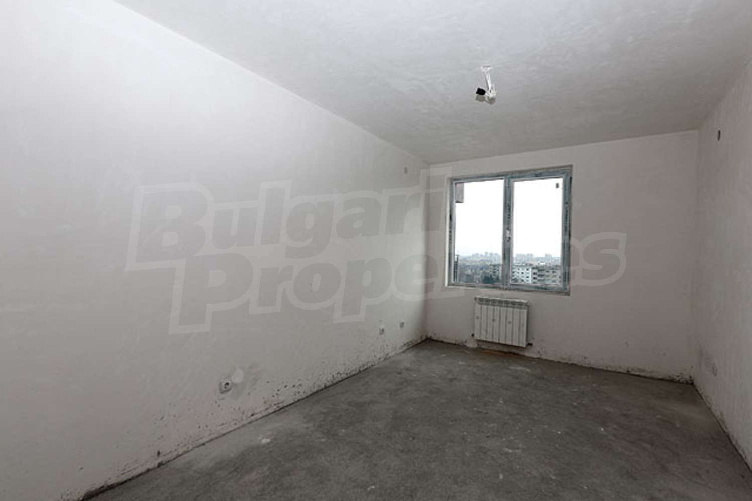 Gallery Picture 4