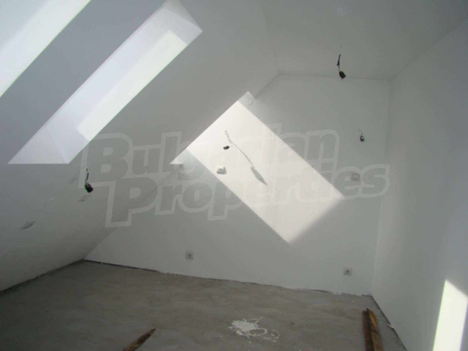 Gallery Picture 8