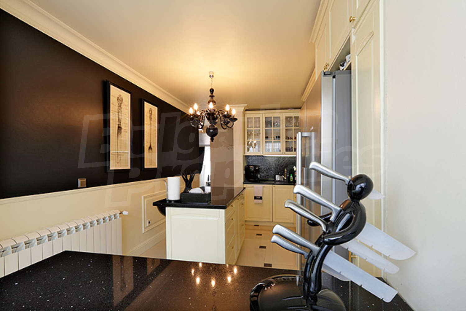 Gallery Picture 12