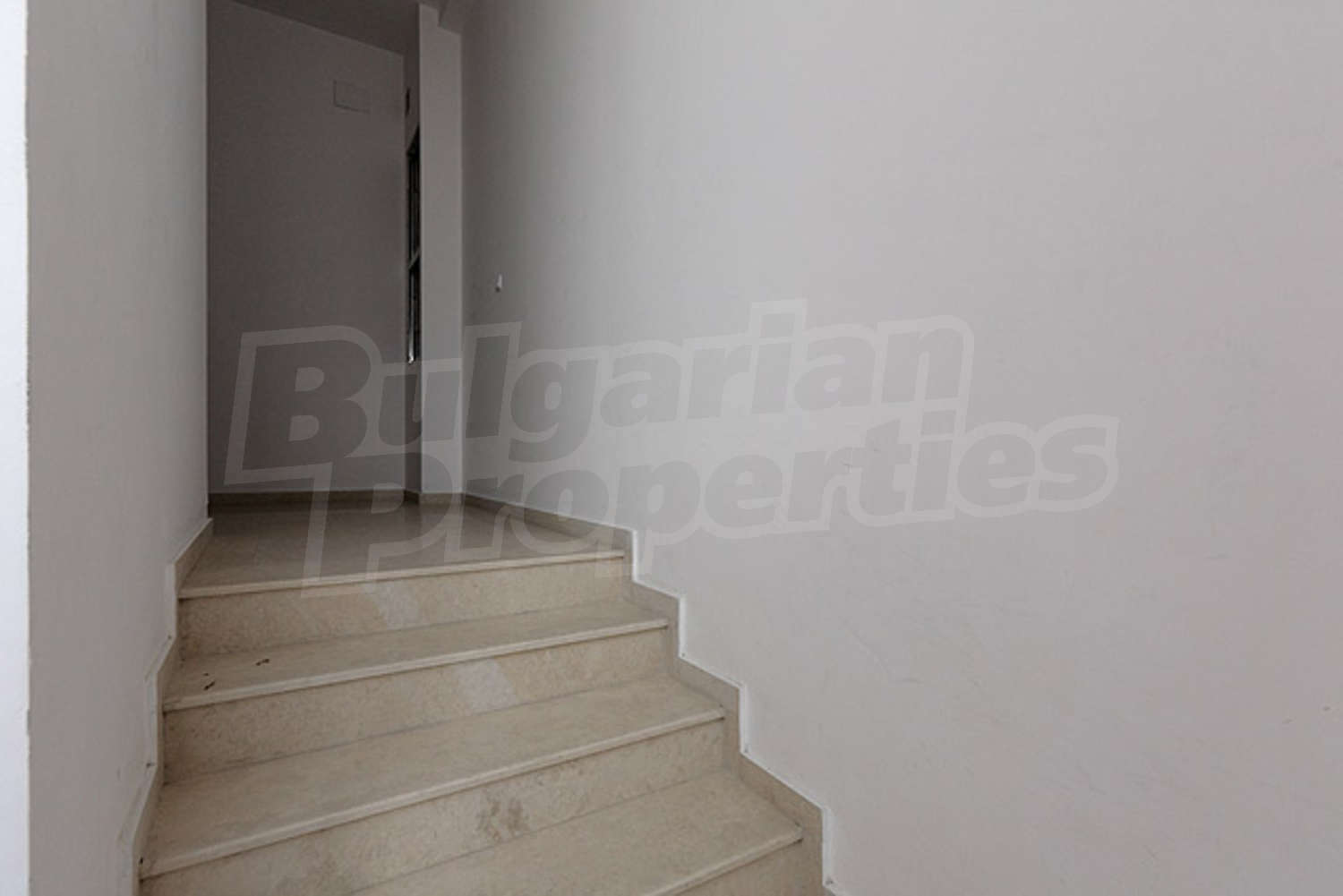 Gallery Picture 26