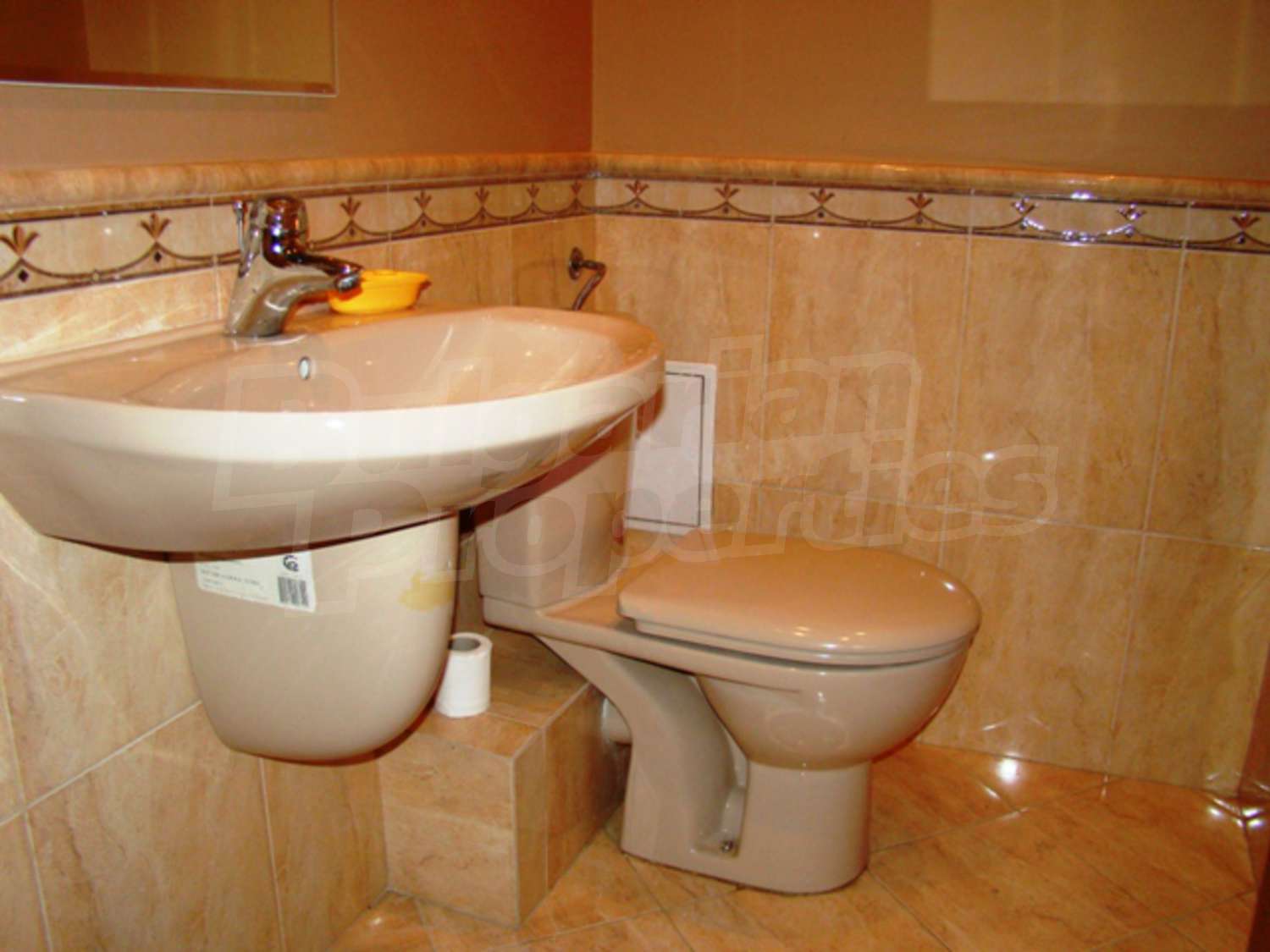 Gallery Picture 19