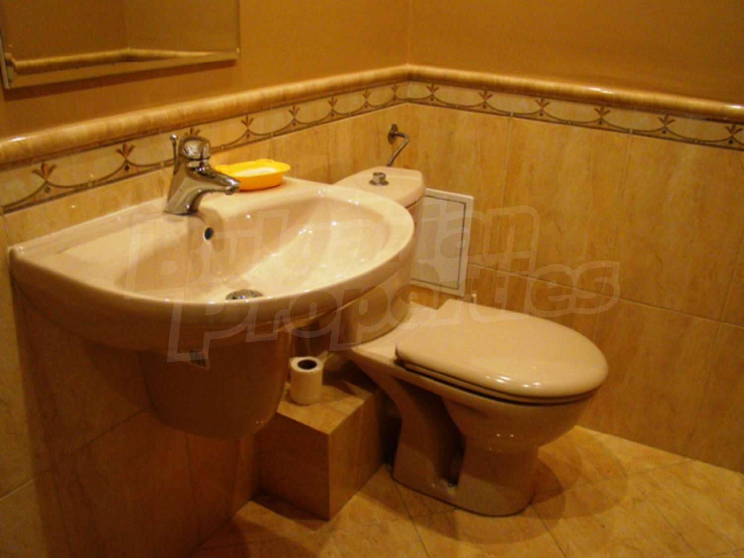 Gallery Picture 22