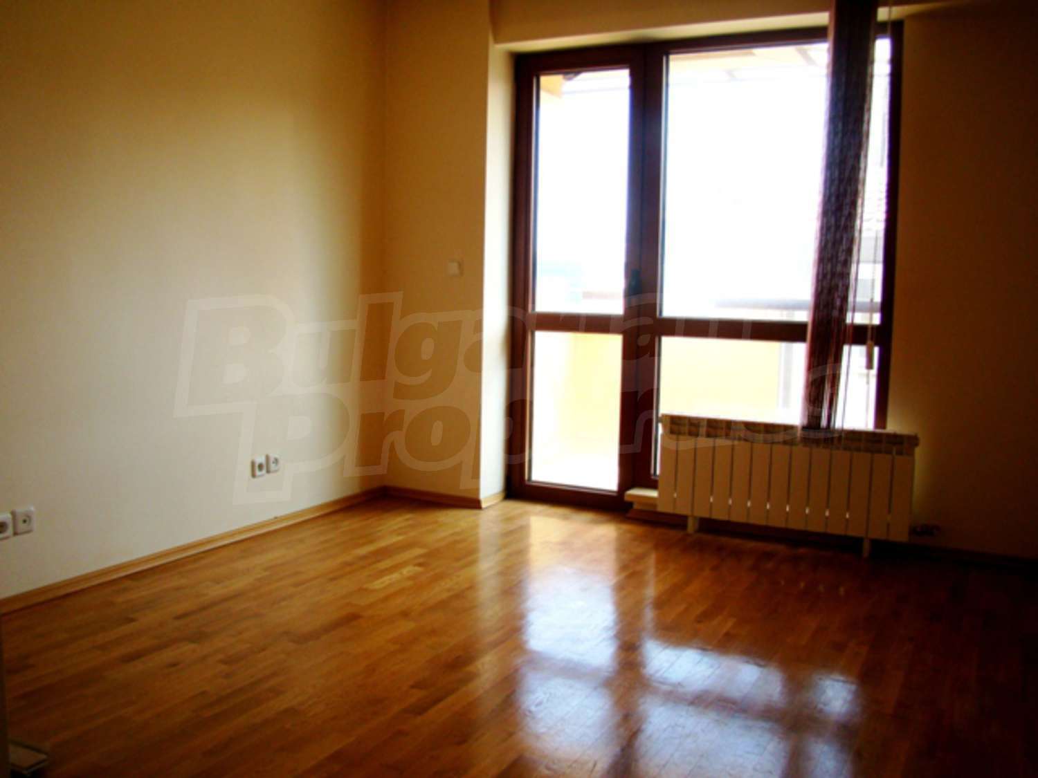 Gallery Picture 8
