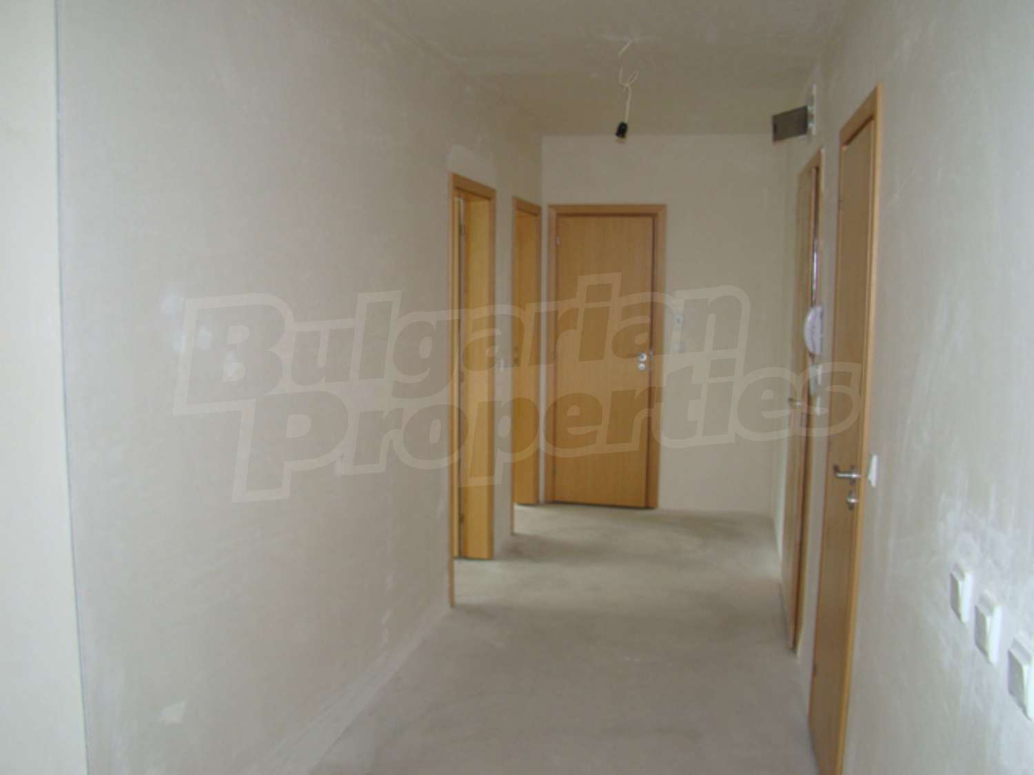 Gallery Picture 12