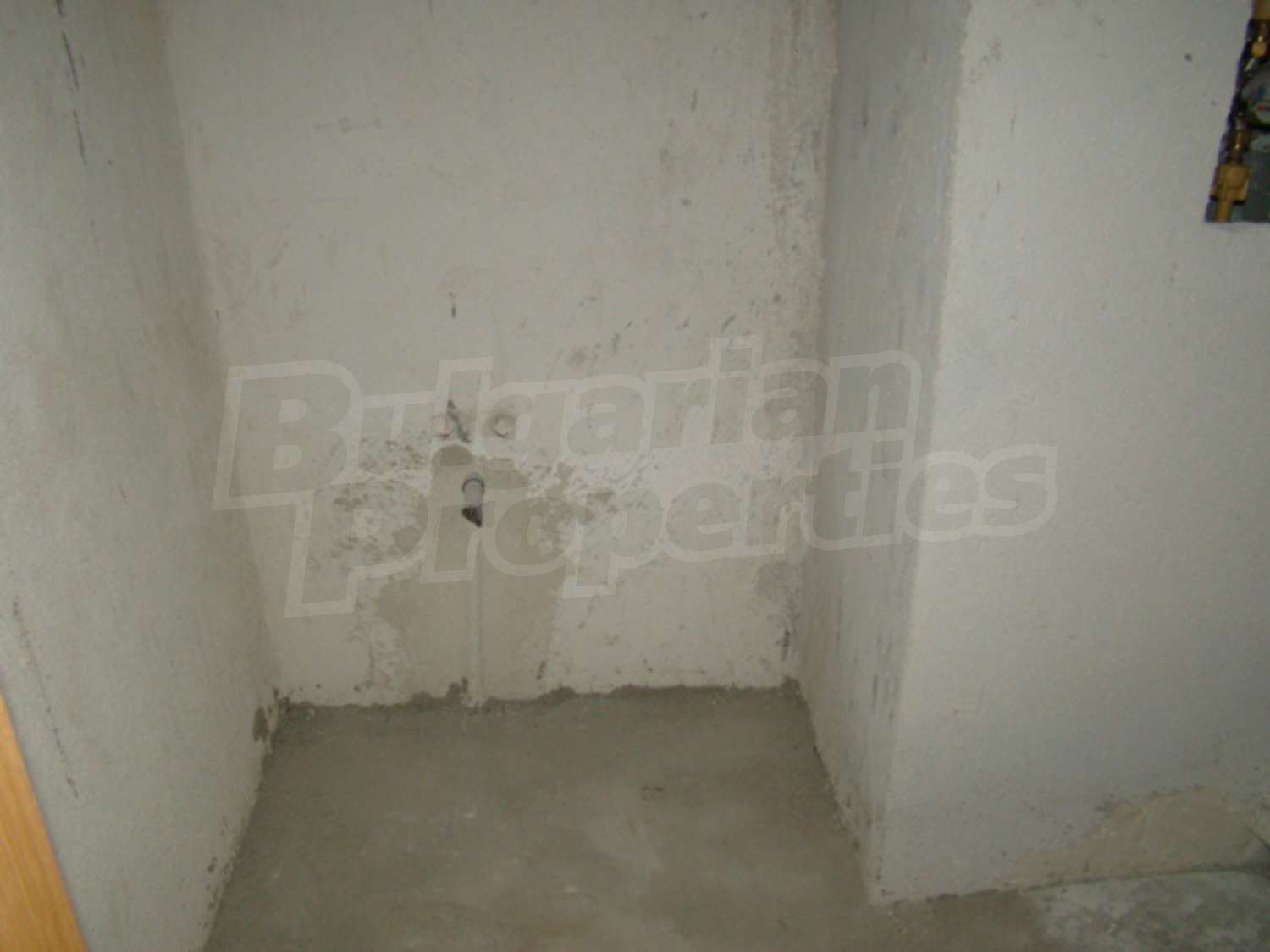 Gallery Picture 13