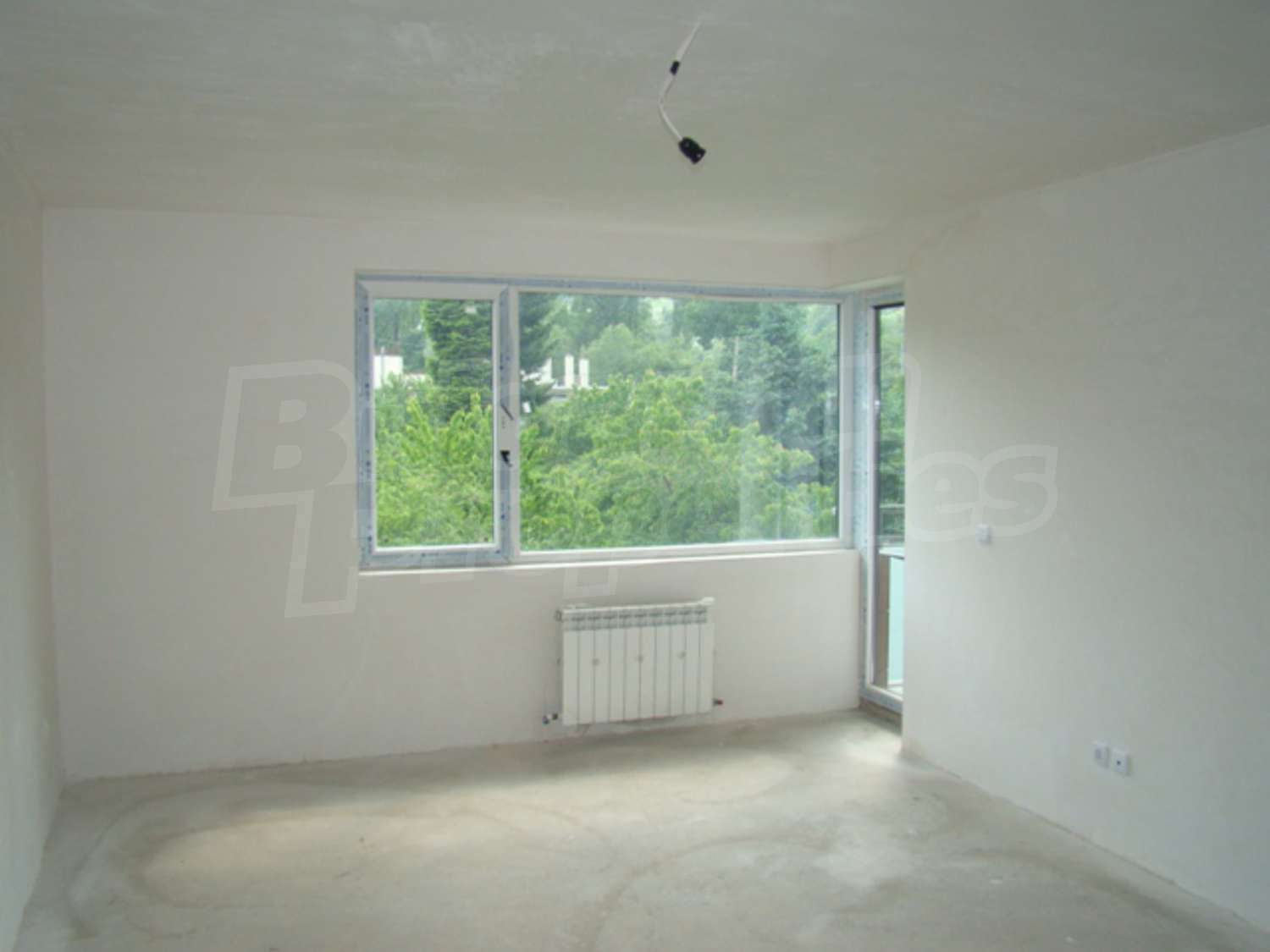 Gallery Picture 6