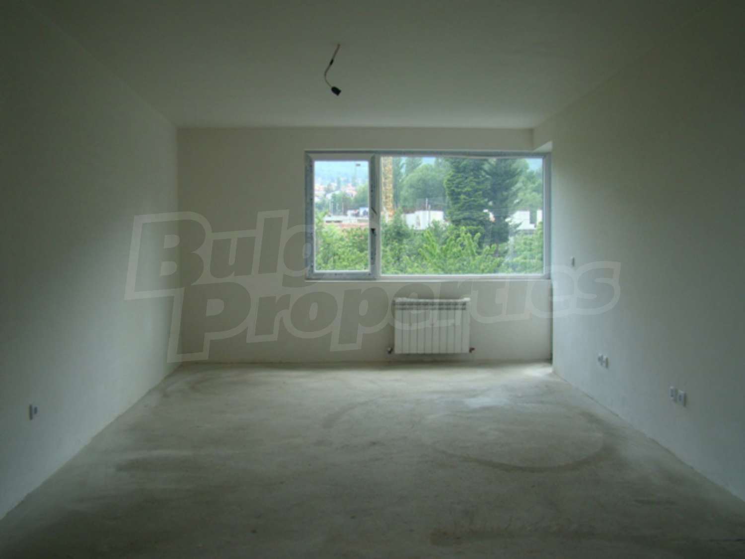 Gallery Picture 8