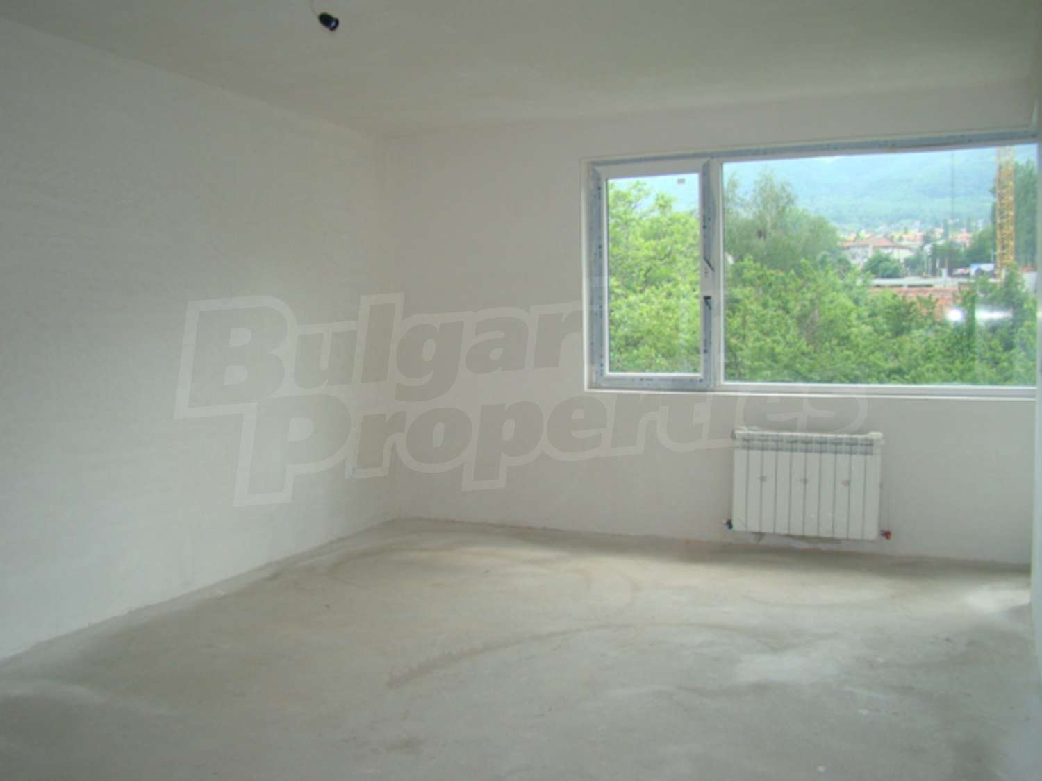 Gallery Picture 9