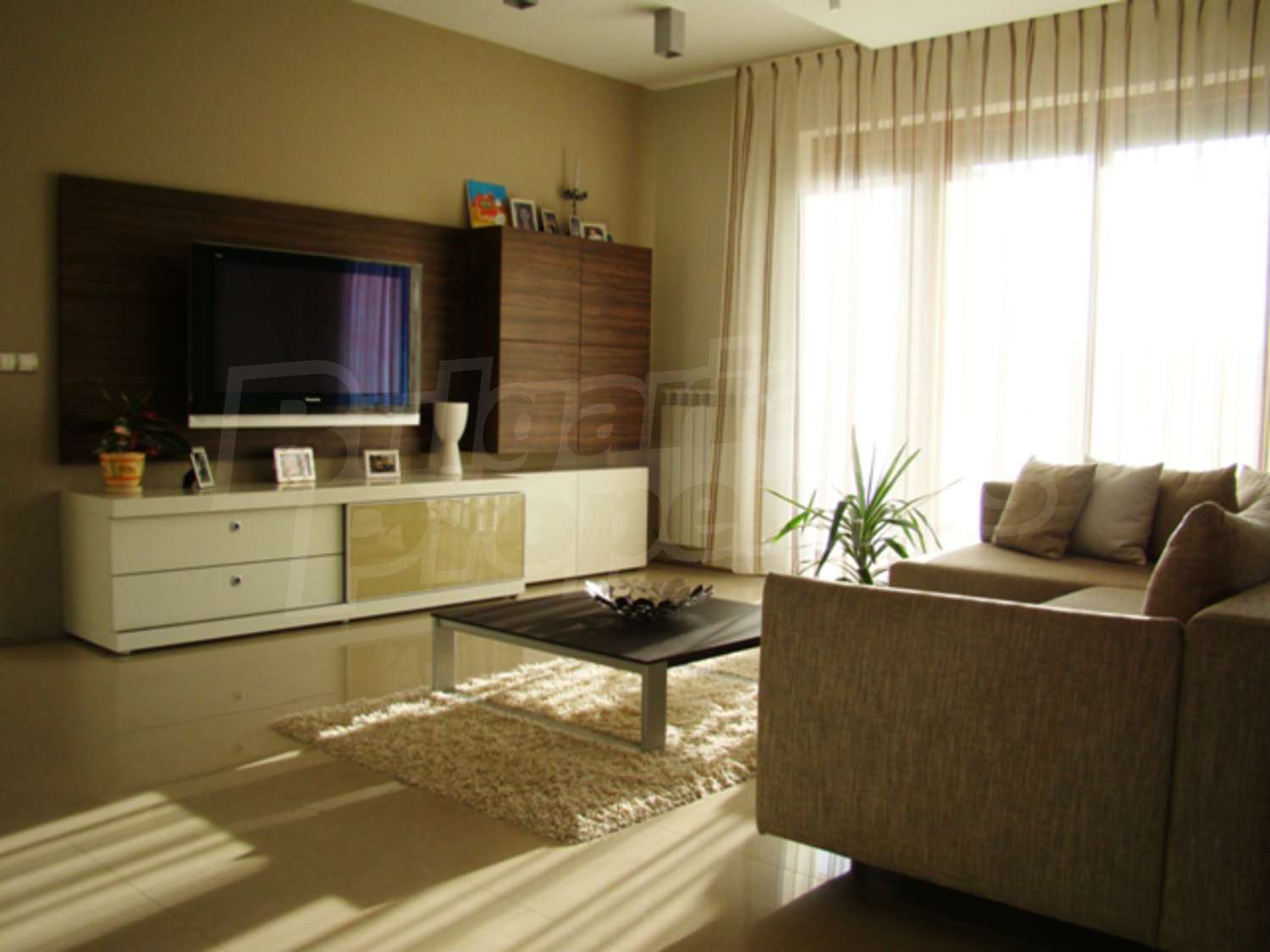 Gallery Picture 10
