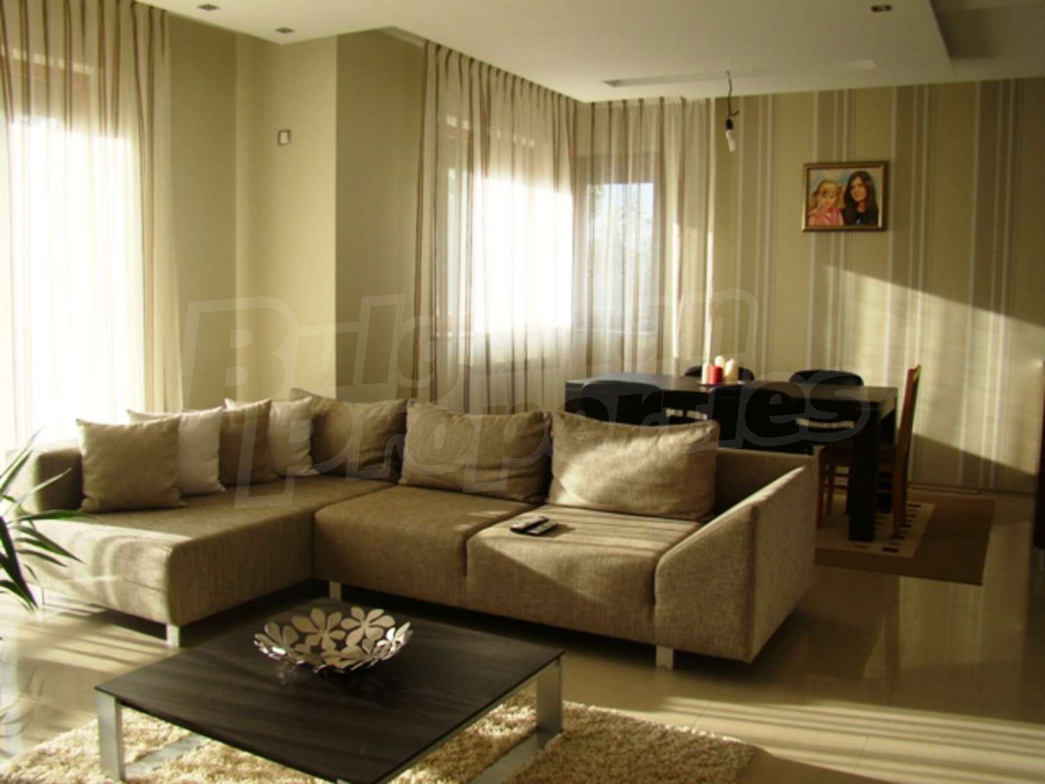 Gallery Picture 13