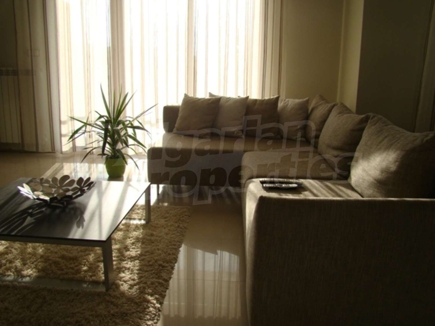 Gallery Picture 14