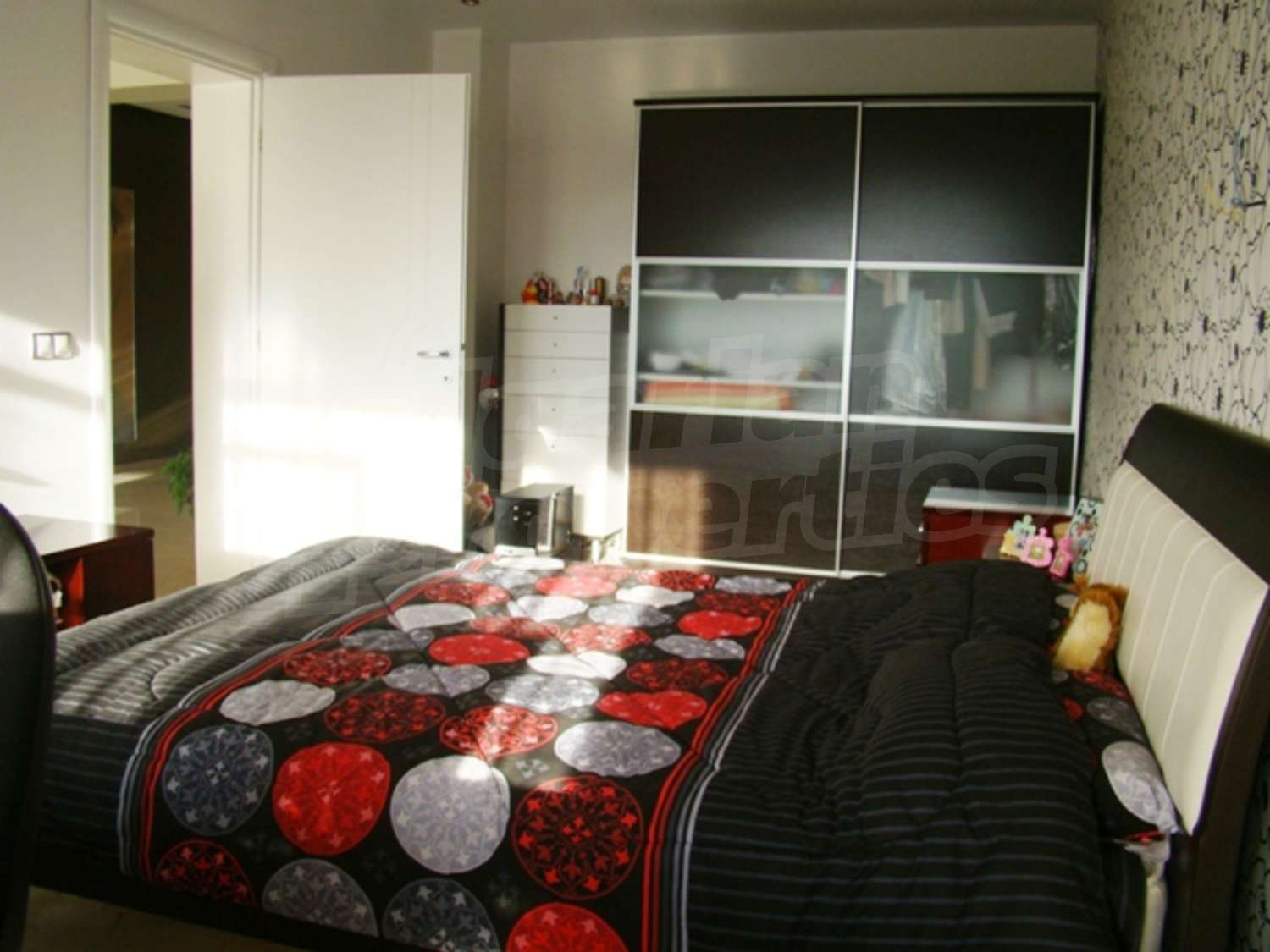Gallery Picture 19