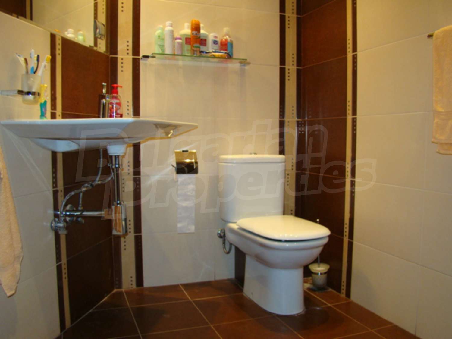 Gallery Picture 25