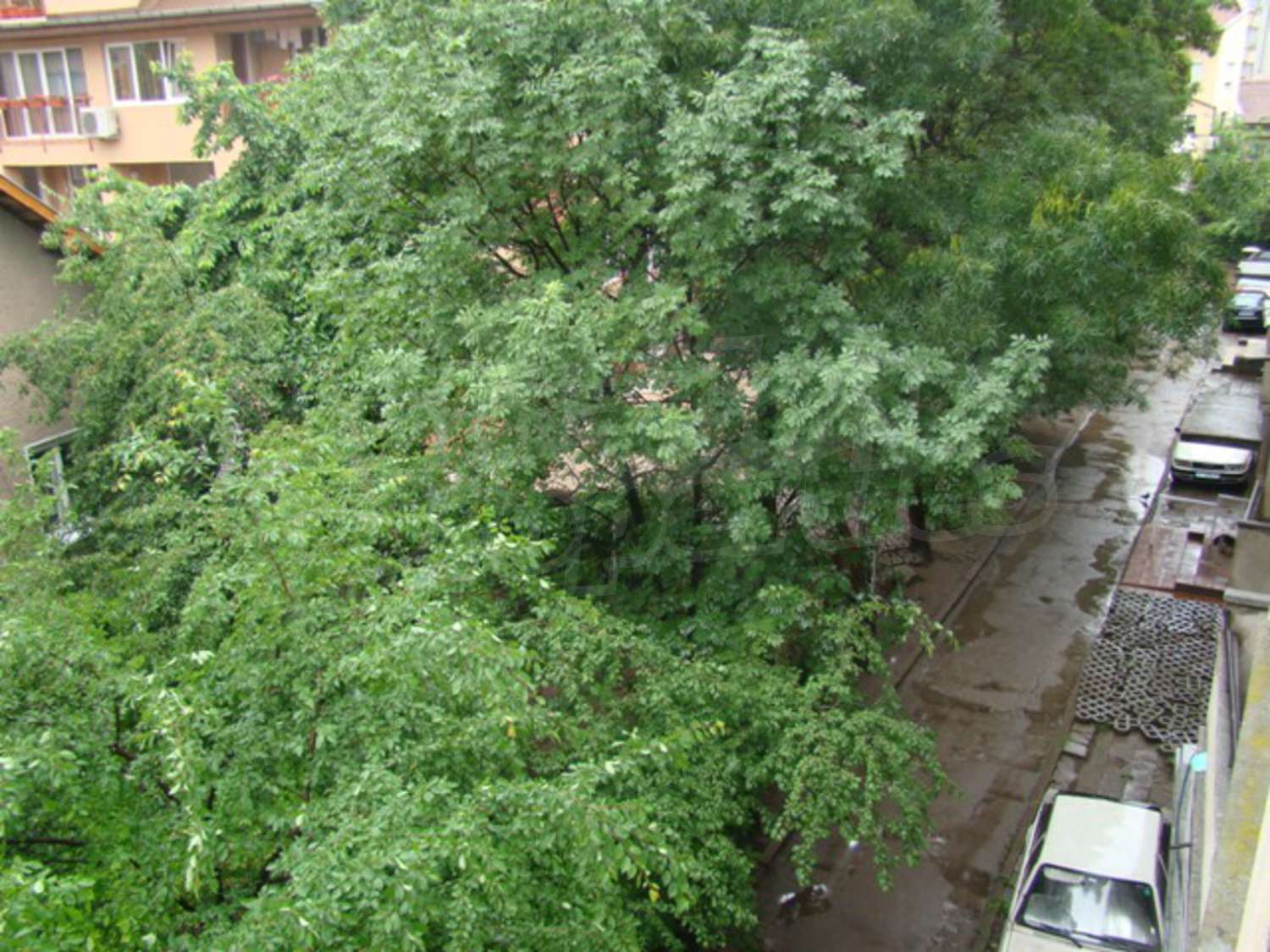 Gallery Picture 22