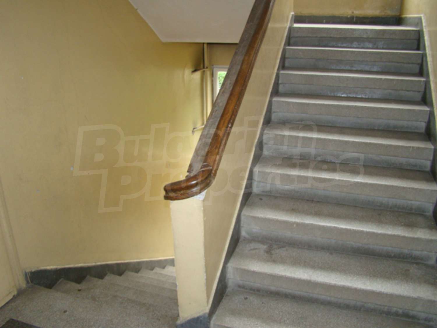 Gallery Picture 6