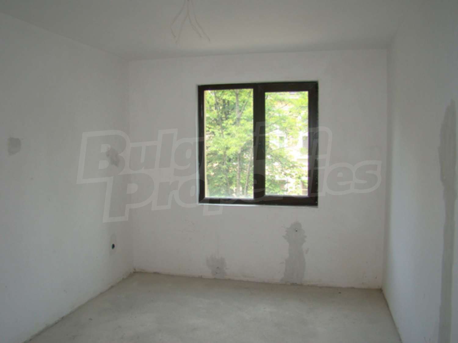 Gallery Picture 7