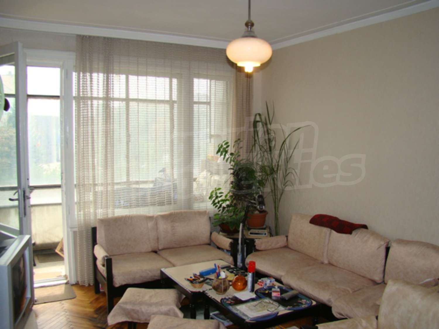 Gallery Picture 14