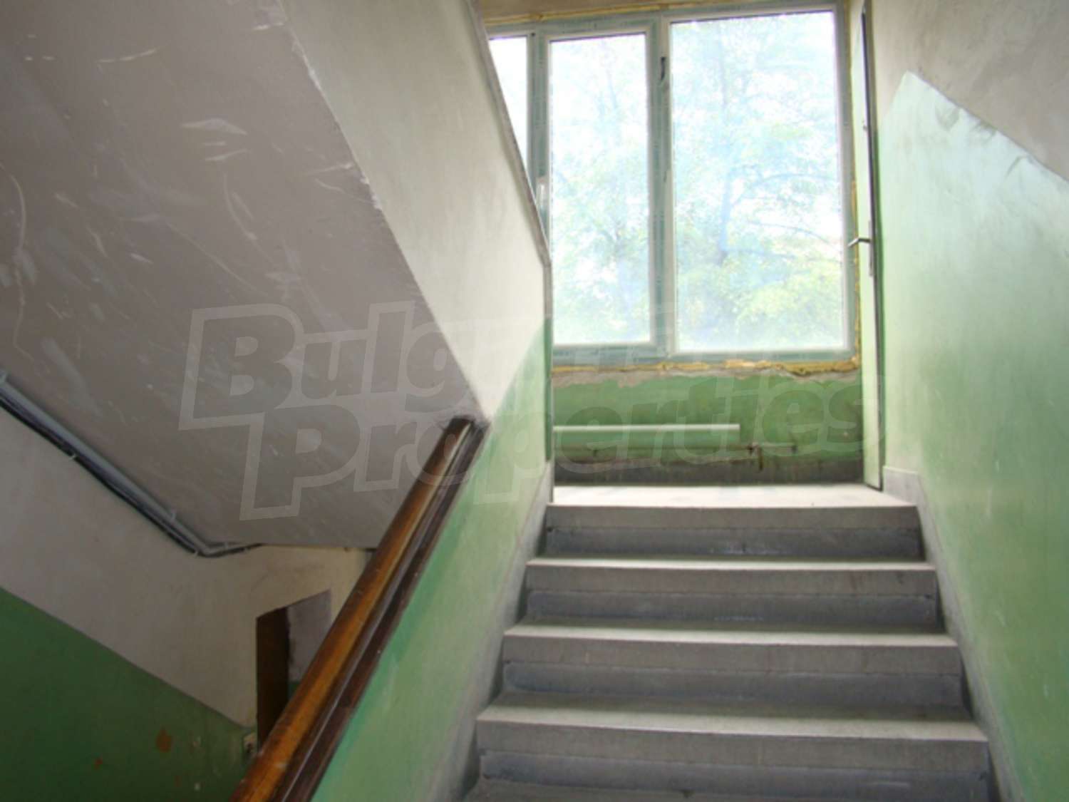 Gallery Picture 7