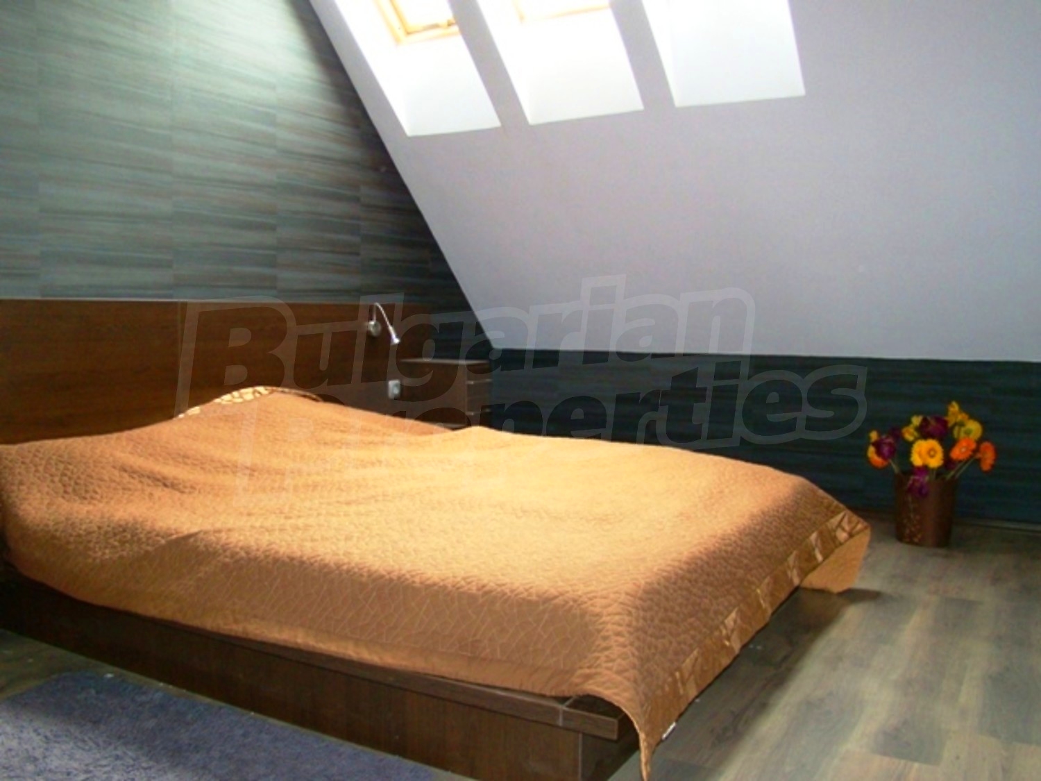 Gallery Picture 18