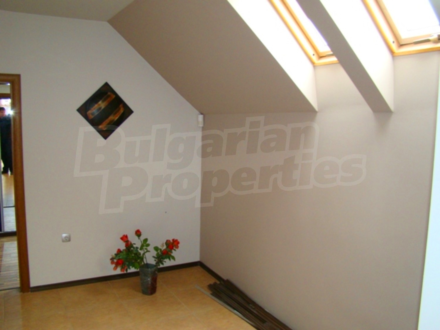 Gallery Picture 7