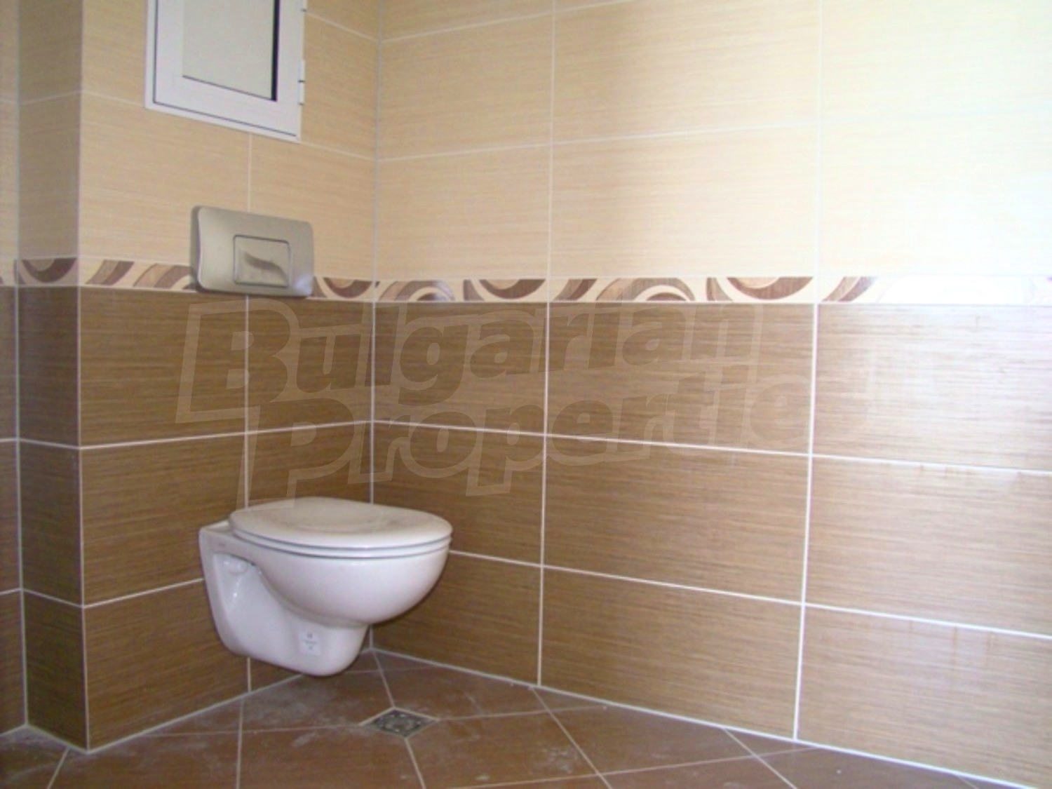 Gallery Picture 17