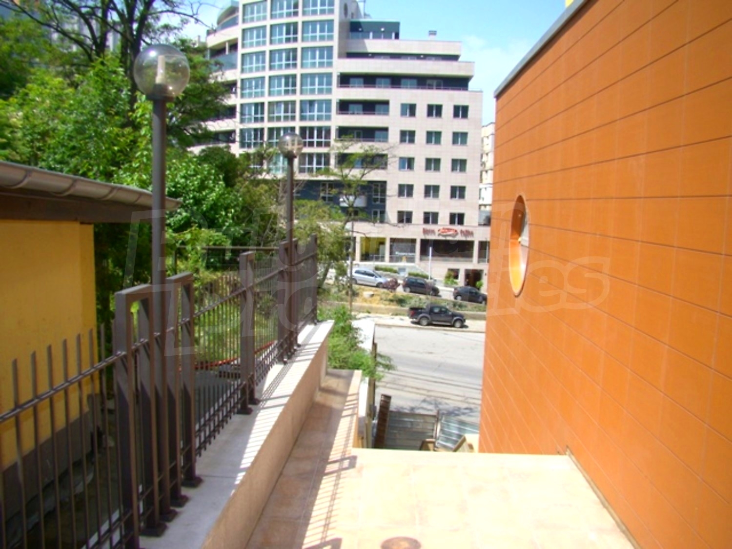 Gallery Picture 31