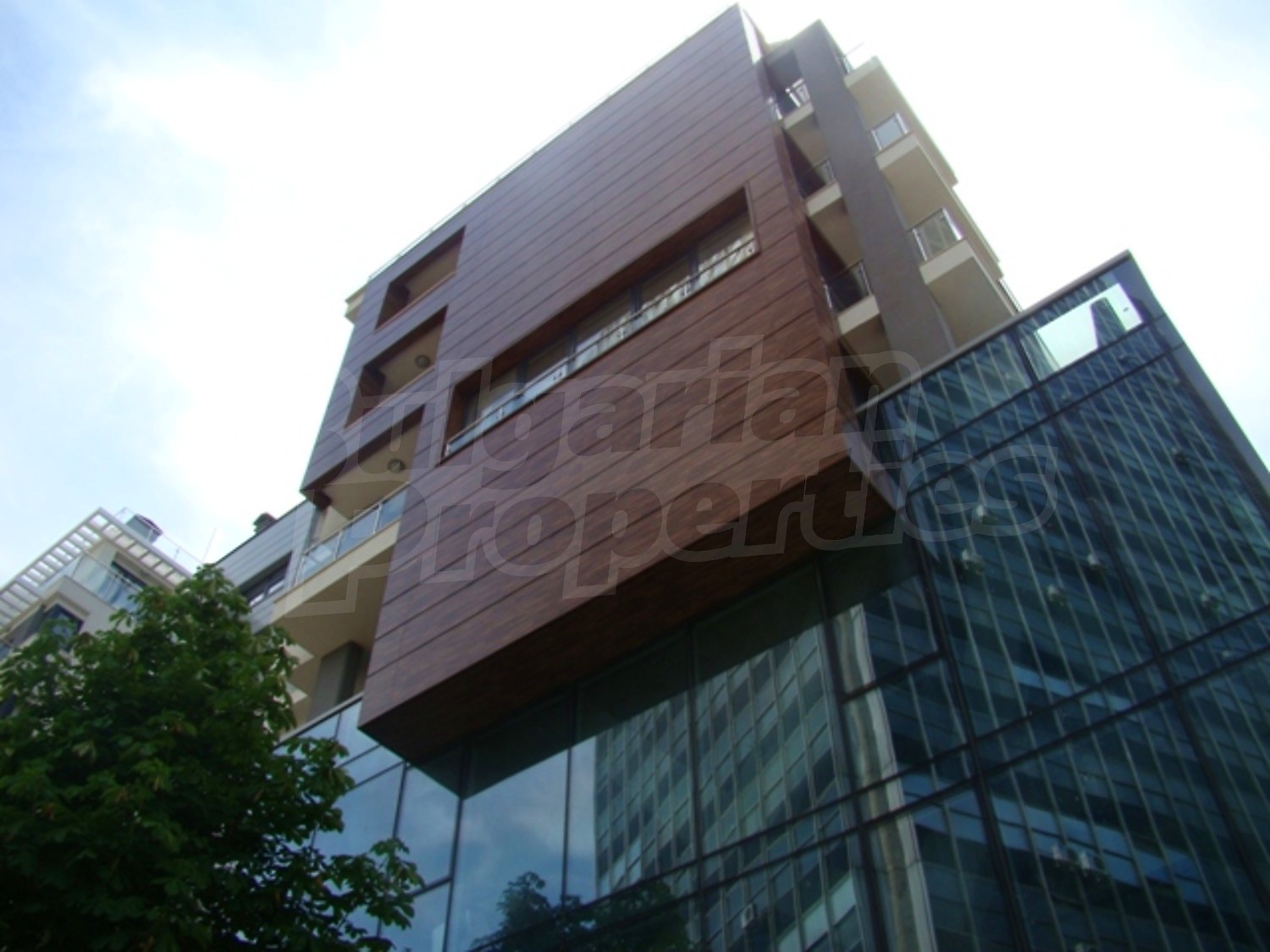 Gallery Picture 7