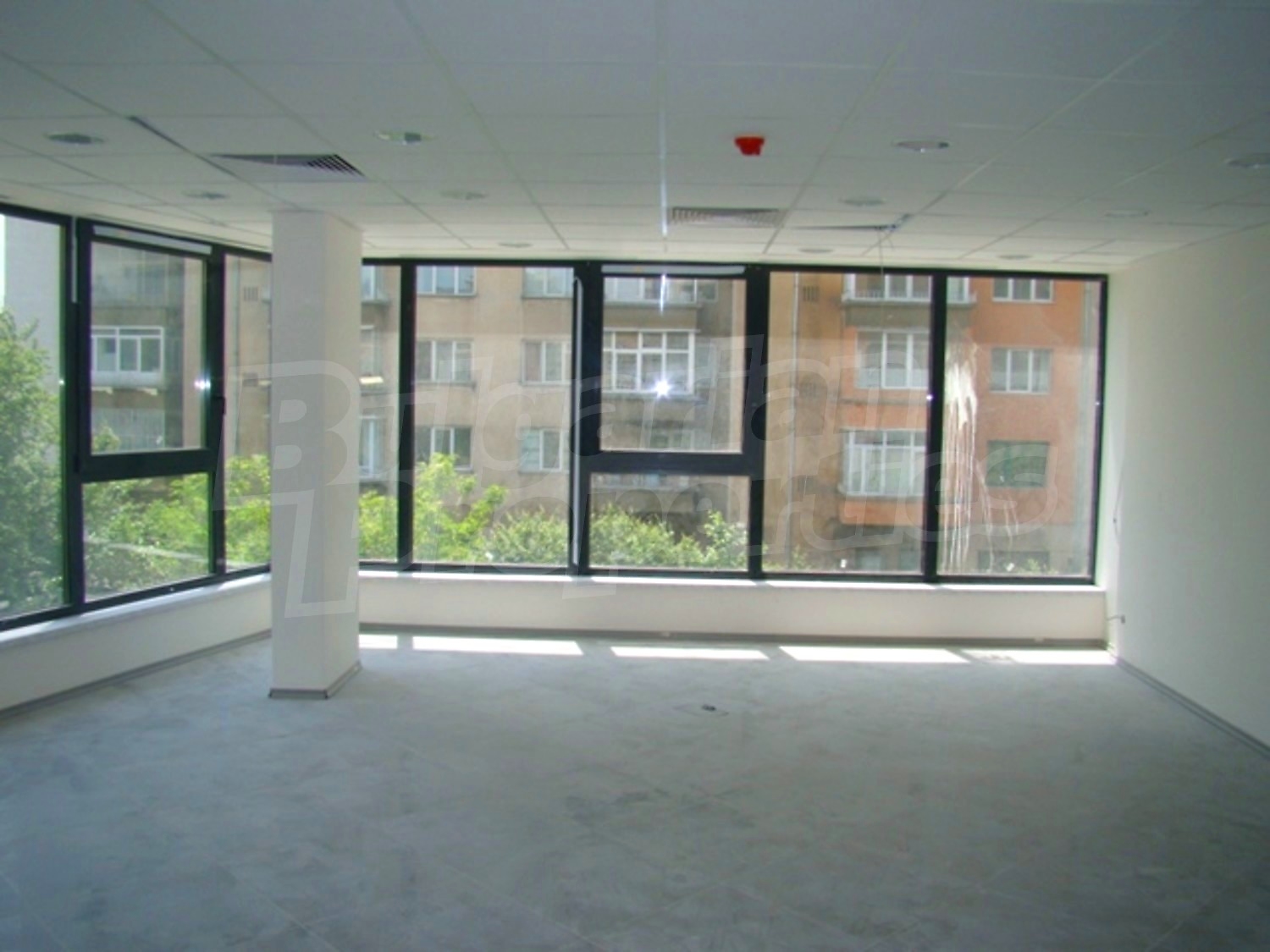 Gallery Picture 11