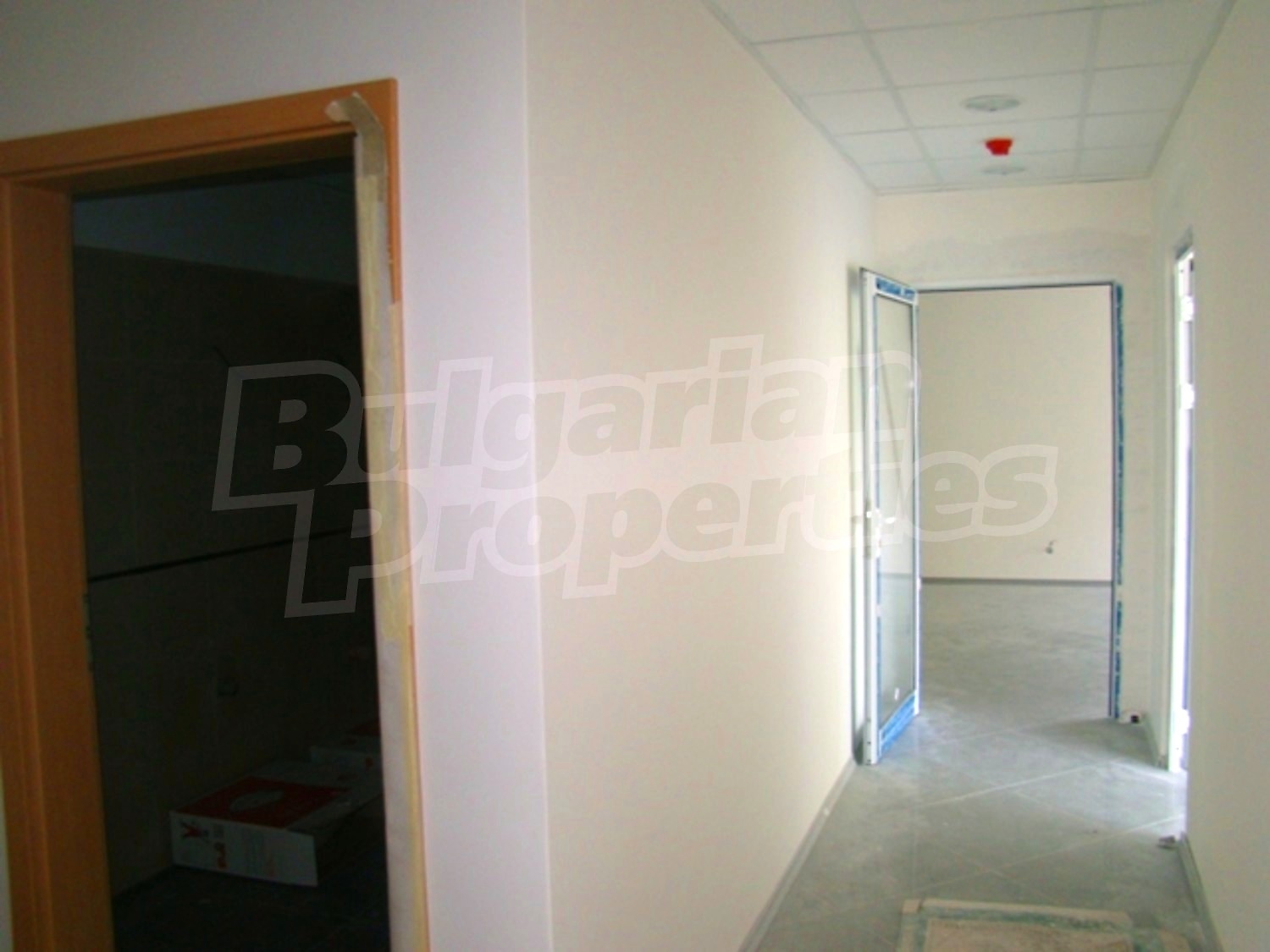 Gallery Picture 14