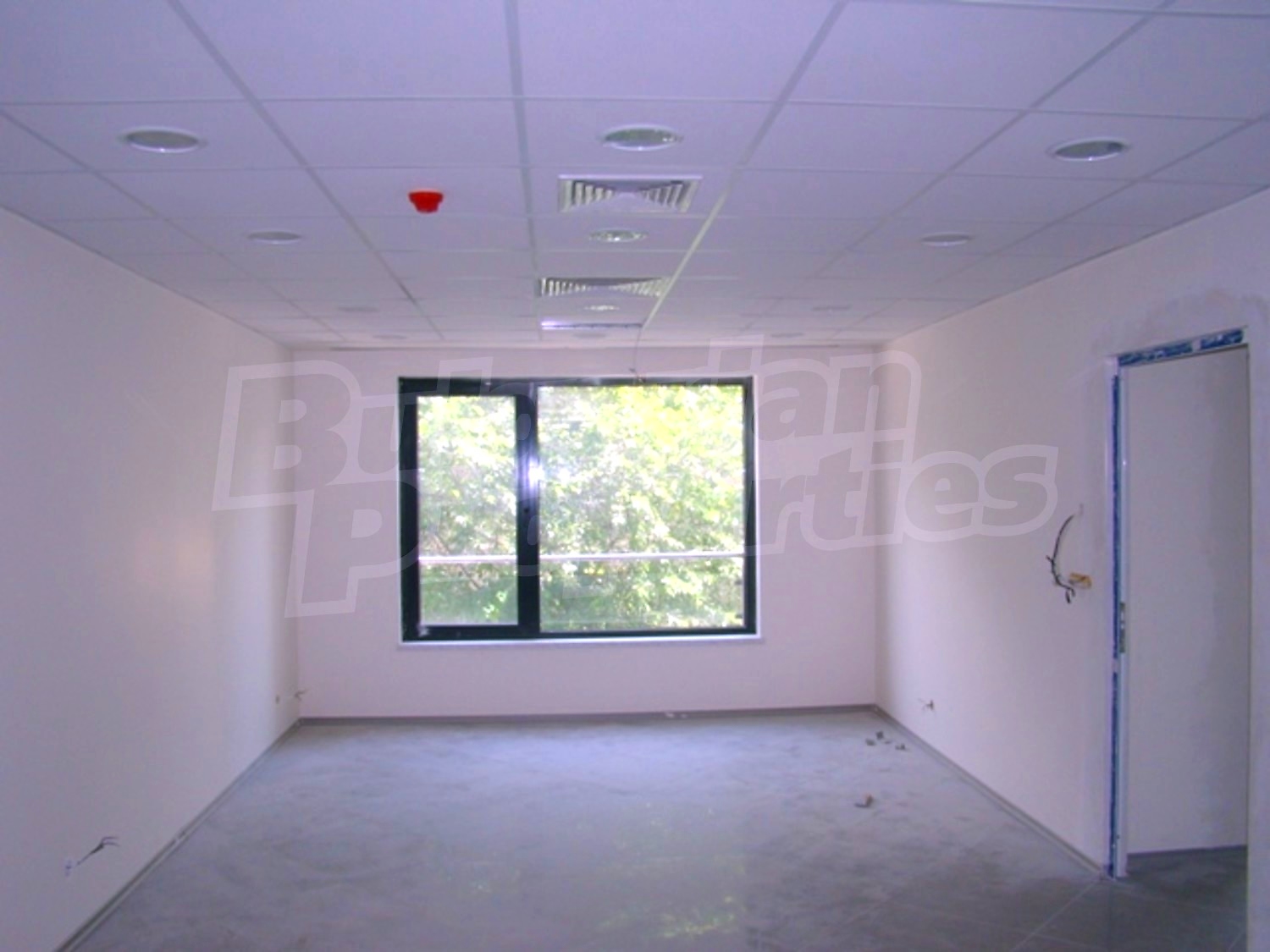 Gallery Picture 16