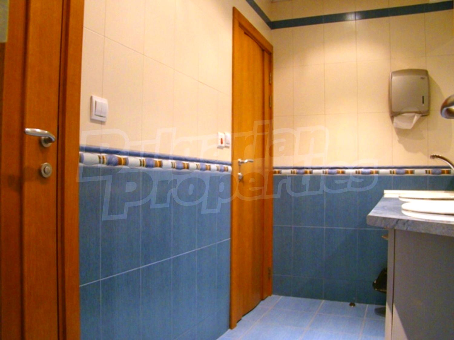 Gallery Picture 27