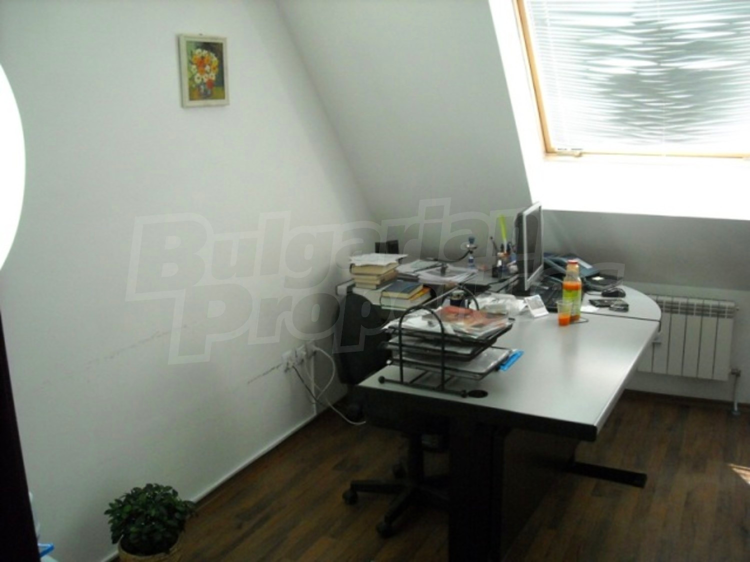 Gallery Picture 38
