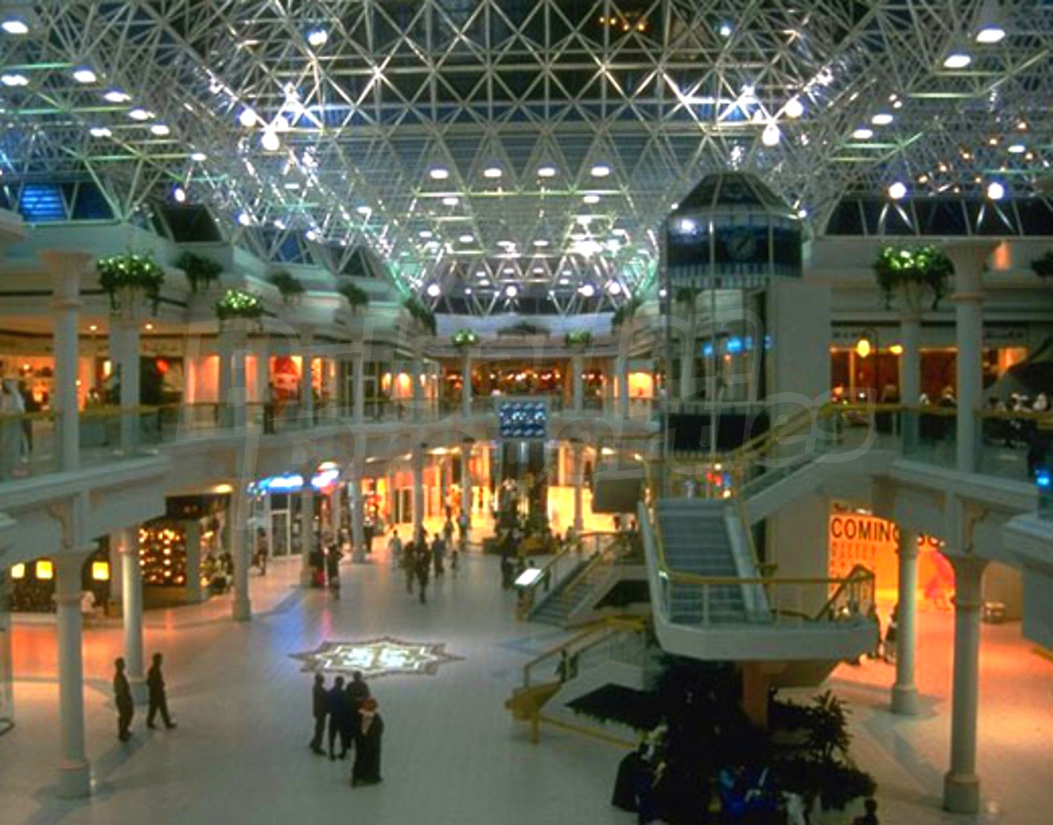 Gallery Picture 43