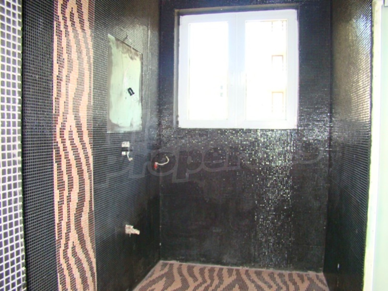 Gallery Picture 19