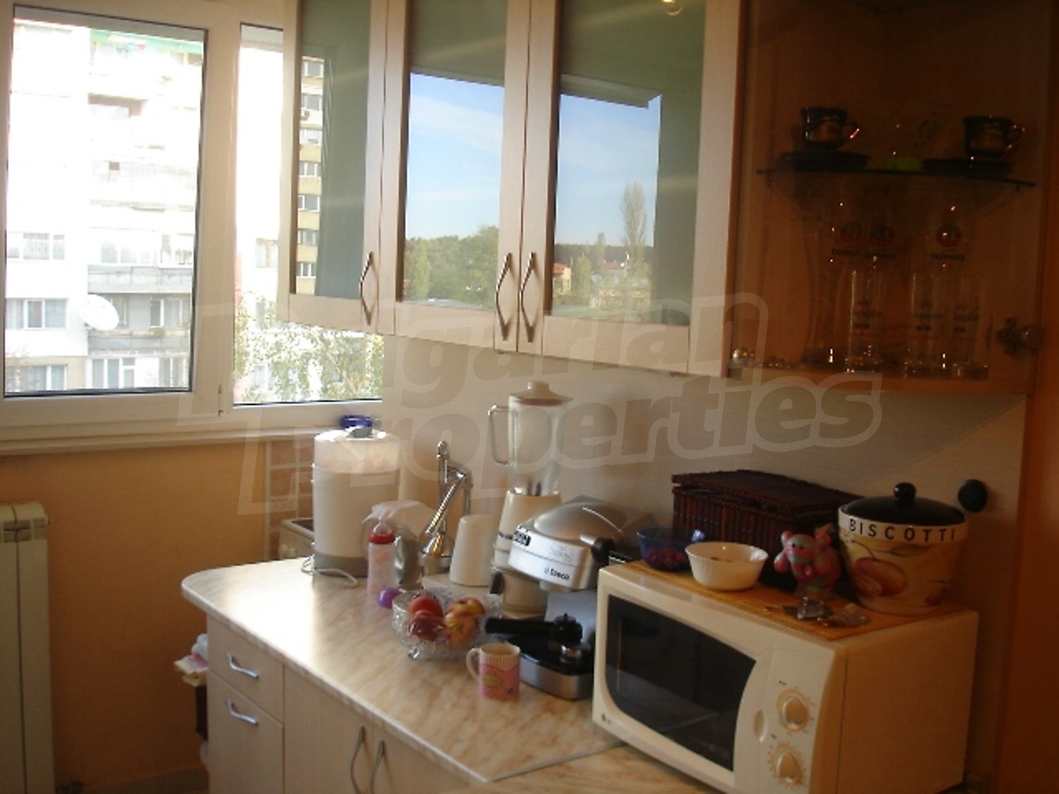 Gallery Picture 11