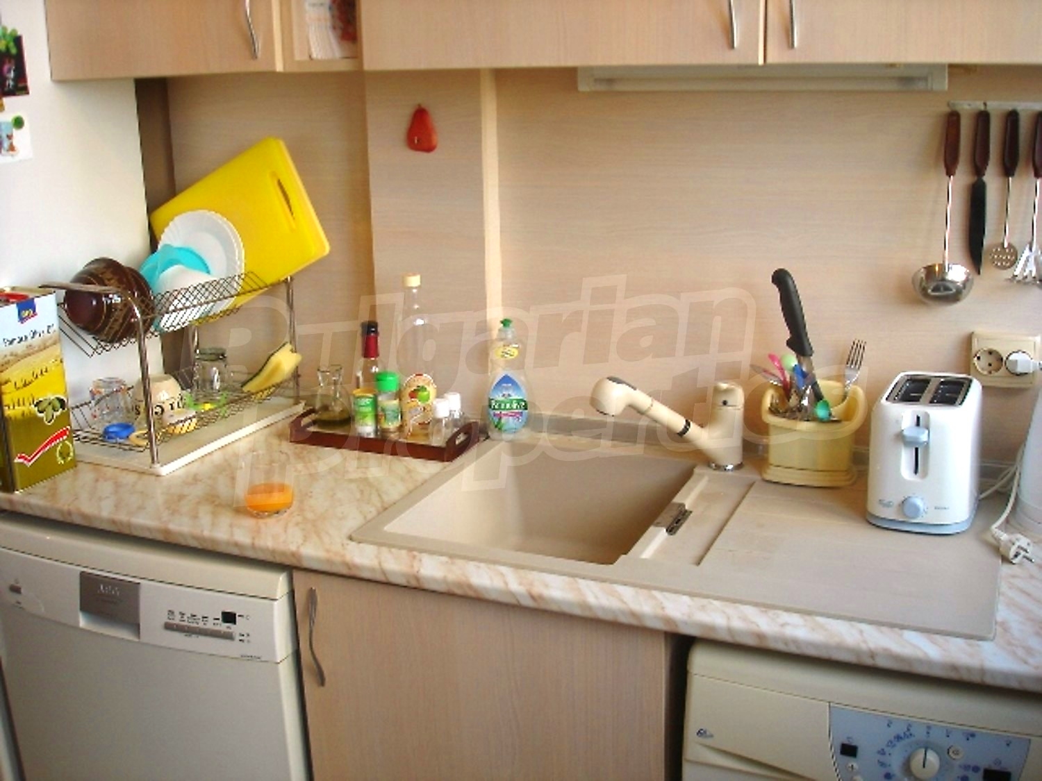 Gallery Picture 13
