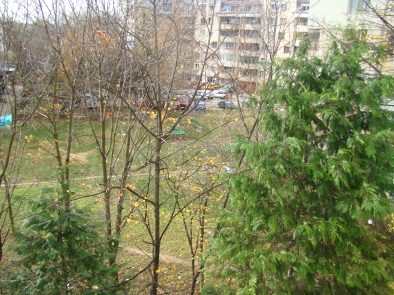 Gallery Picture 24