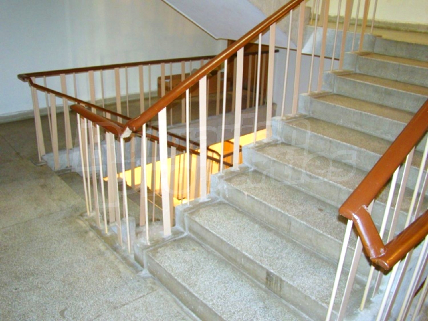 Gallery Picture 26