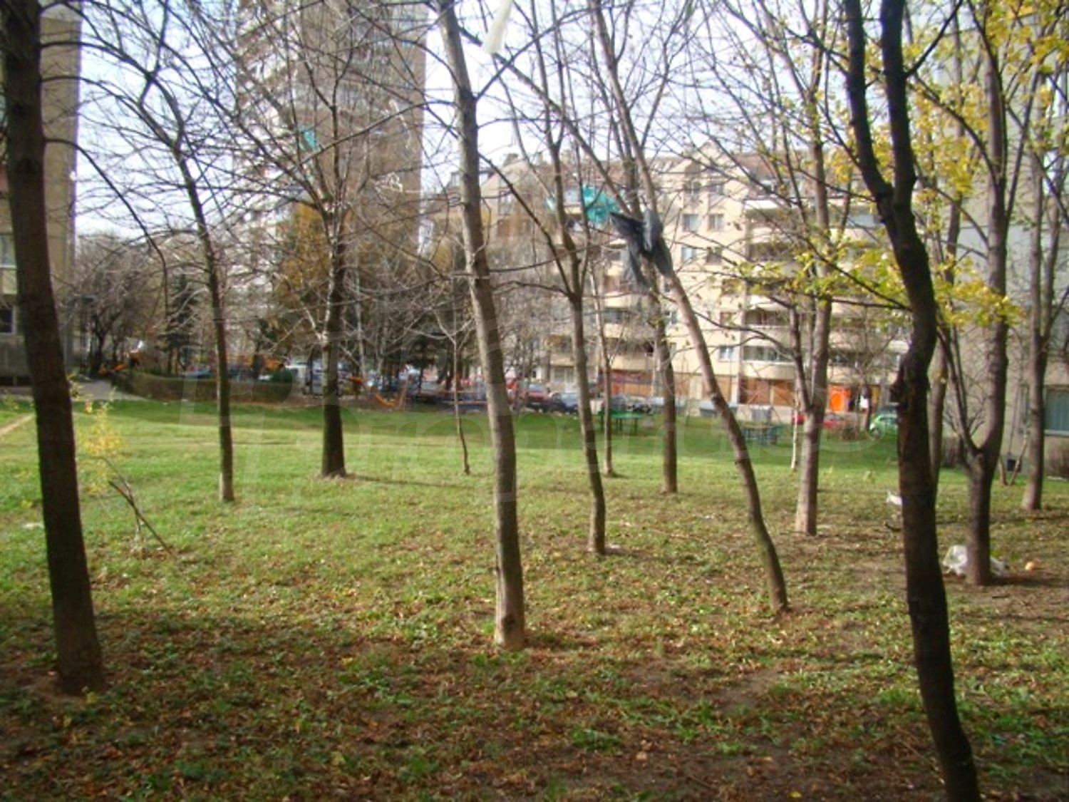 Gallery Picture 27