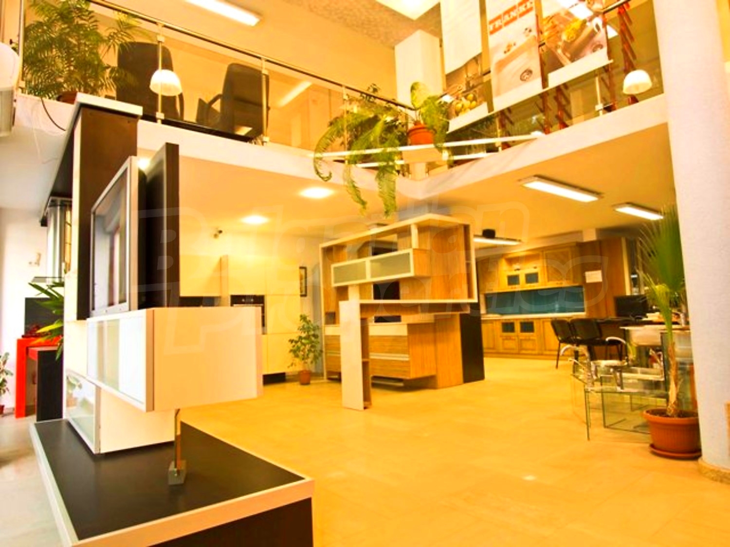 Gallery Picture 2